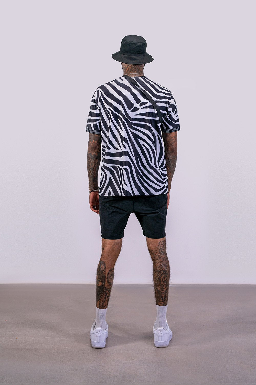 zebra-back.jpg